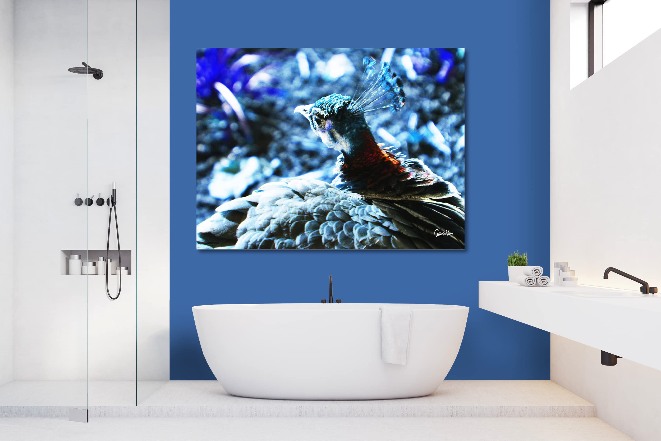 Glücksvilla - Der schöne Pfau 1 (Acrylglas-Bild 5 mm, 80 x 60 cm) | div. Maße - aus DE - Kunstdruck XXL Deko Wandbild quer - Vogel Natur Tier Gefieder grün blau