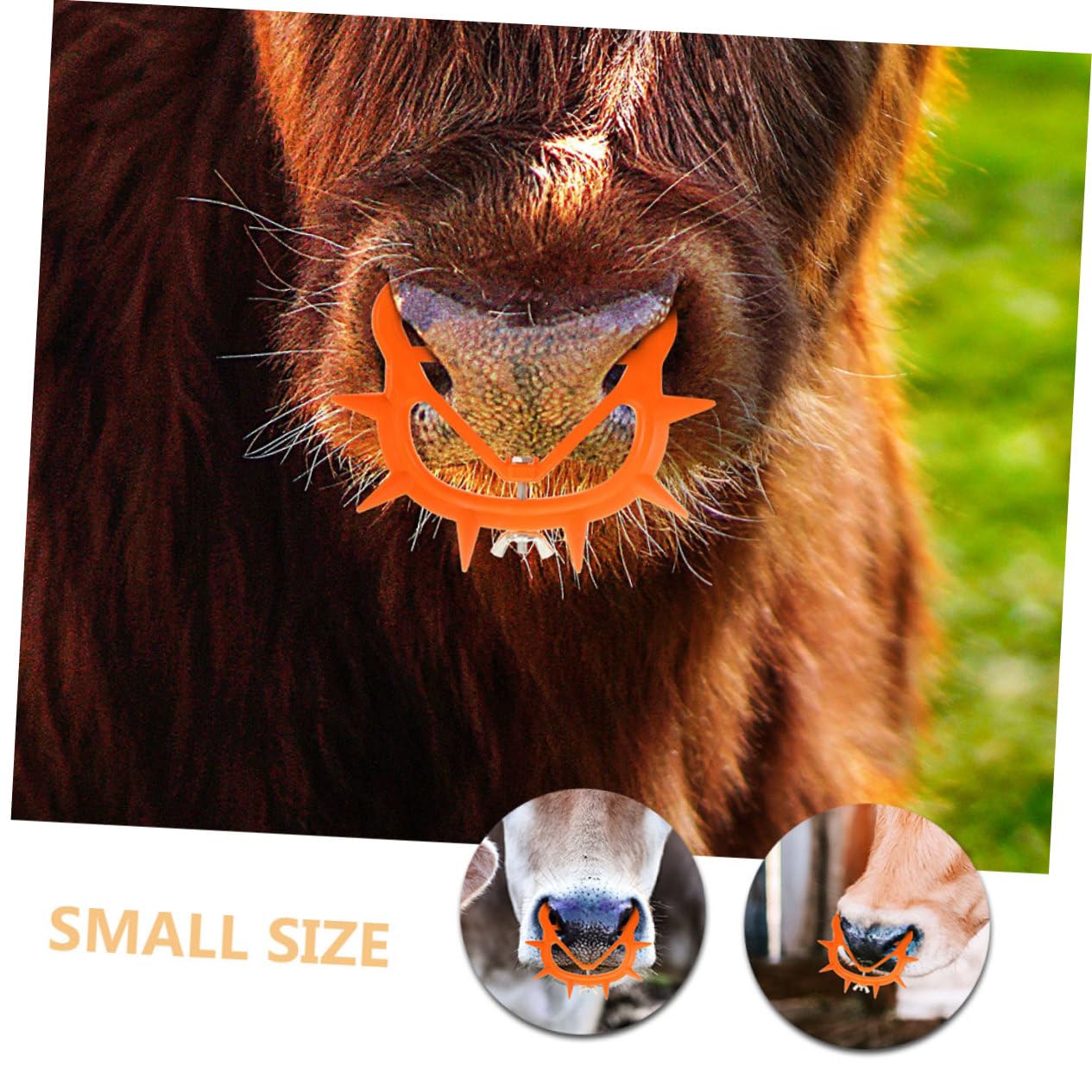 Toyvian 2 Set Anello Svezzamento Per Da Clip Per Naso Bestiame Accessori Per Allevamento Strumento Antisucchio Facile Da Usare E Resistente 12 Pezzi*2