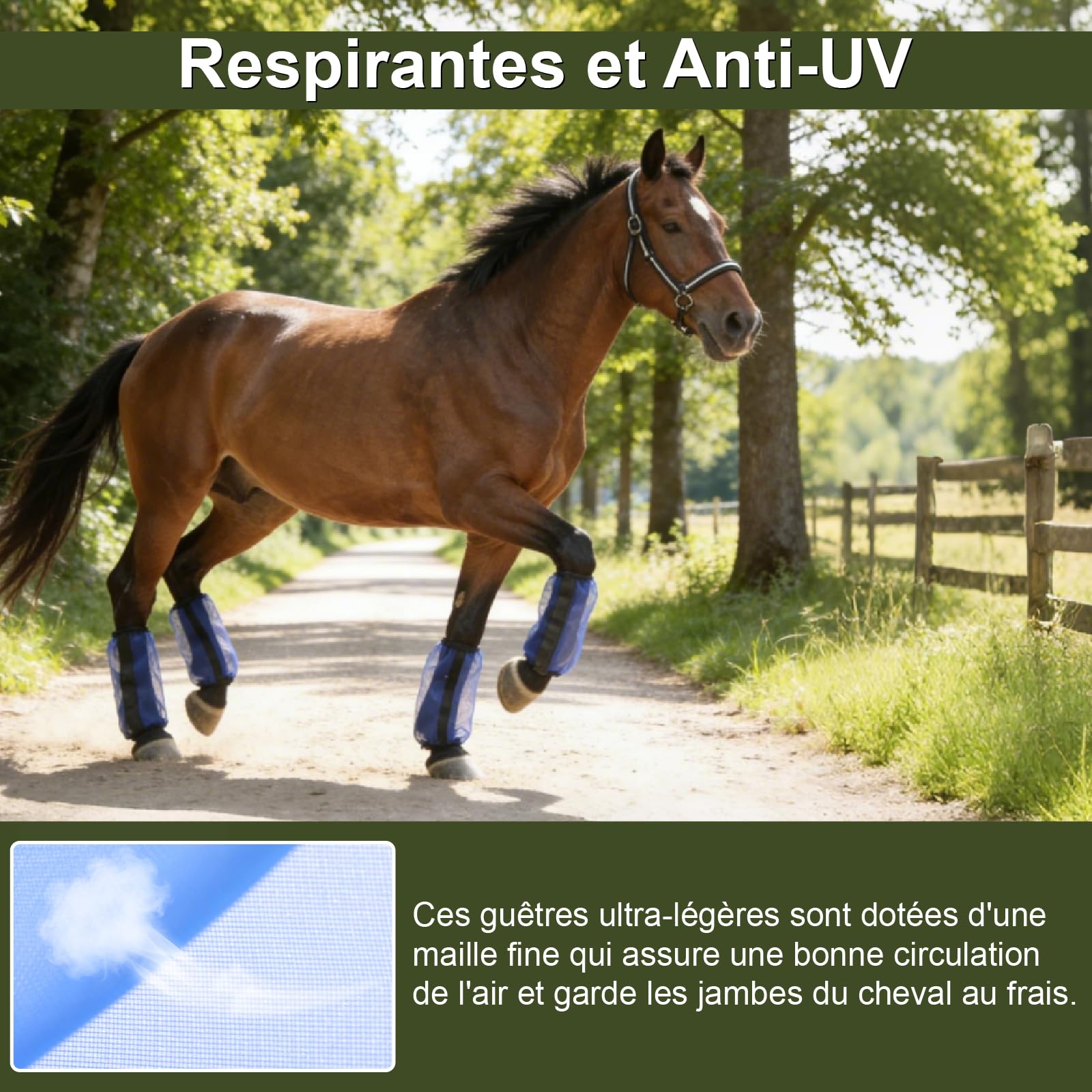 Lot de 4 Guêtres pour Chevaux, Réduisent les Coups de Sabots, Maille Ultra Légère et Respirante, Antidérapantes, sans Frottement, Coupe Ample pour l'Été, Taille Universelle, Bleu Royal