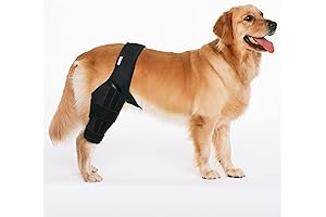ACL Tear Dog Brace for Hind Leg, Medium