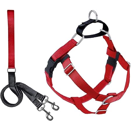 h harness big w