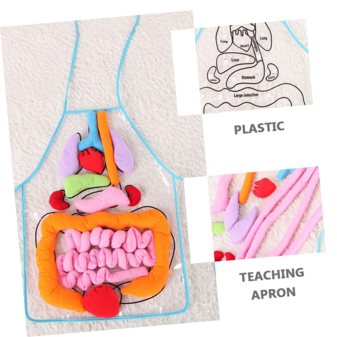 Mikinona Delantal de Órganos del Cuerpo Humano 3D para Niños, Herramienta Cognitiva Educativa Órganos en Plástico, Adecuado para Aprendizaje en Preescolar y Uso en Casa