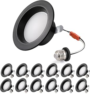 Retrofit Recessed Lighting 4 Inch - 5CCT Selectable, Dimmable Can Lights with Baffle Trim, Smooth Trim, 9W, 800LM, Damp Rated, 4inch 12P Black