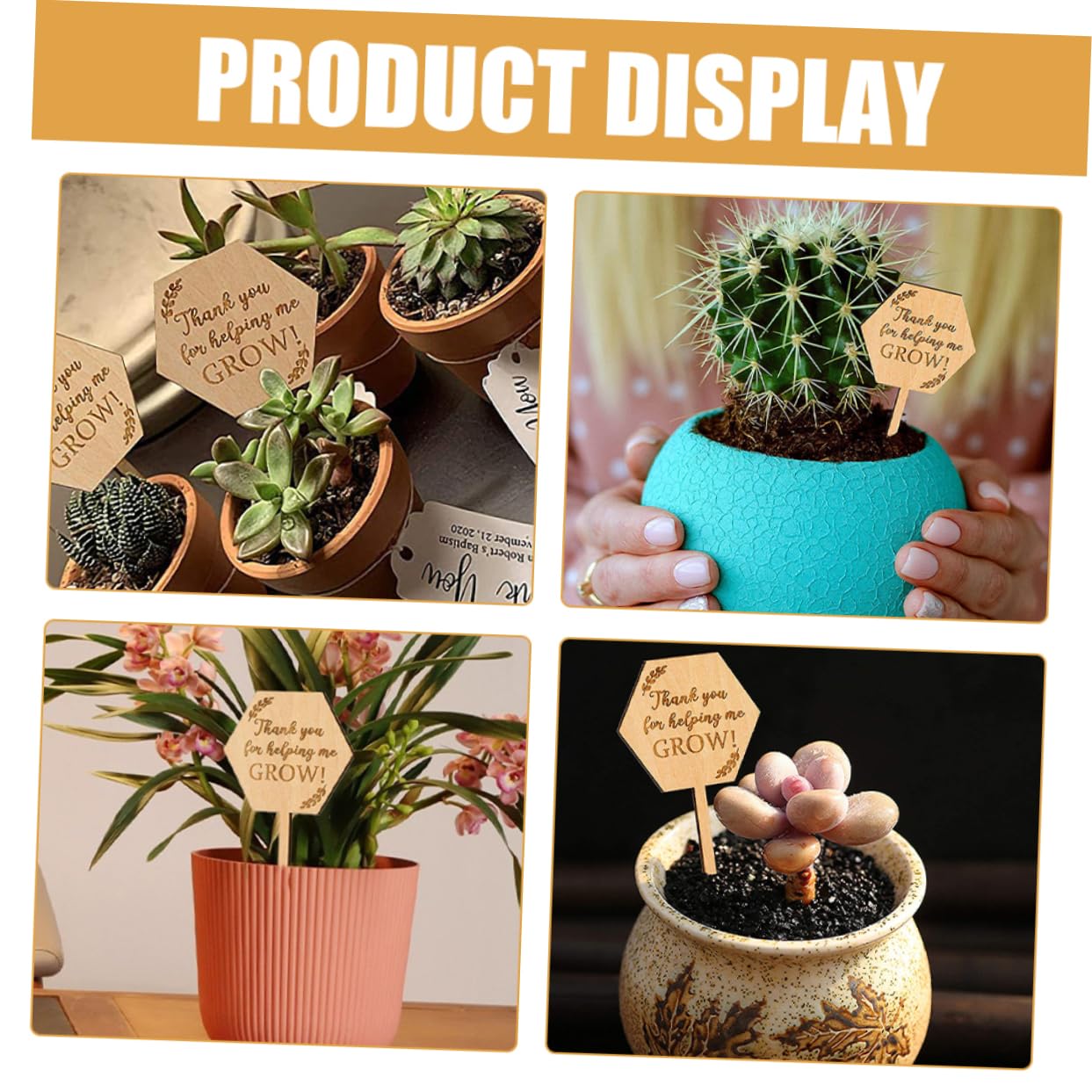 Toddmomy 100pezzi Etichette Per Marcatori Per Giardinaggio Per Bonsai Classificare e Identificare e