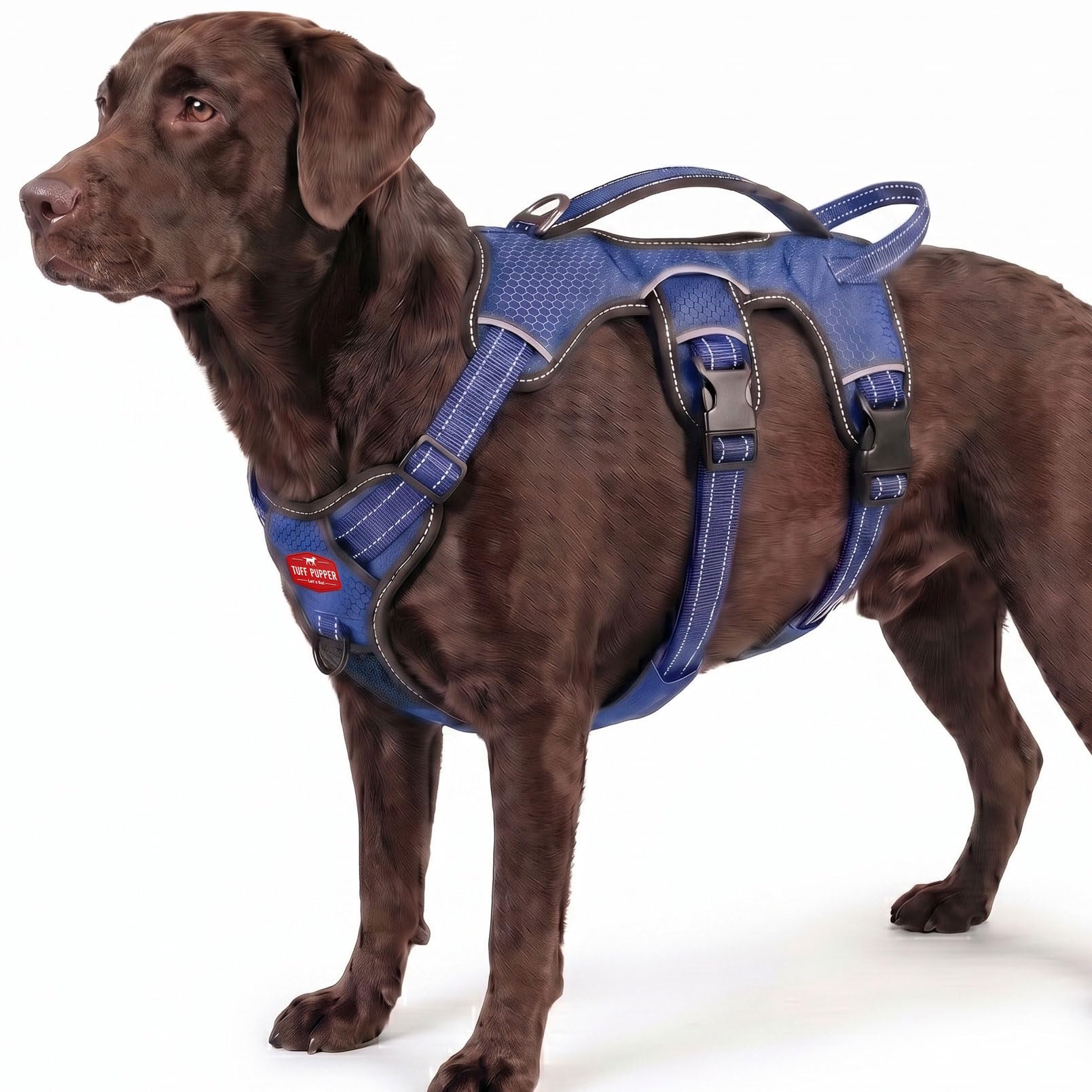 Escape Proof No Escape Dog Harness | 5 Point Adjustable Fit Harness for Dogs | Padded Dog…
