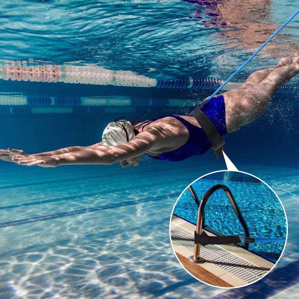 Lifella Swim Training Belt Swim Resistance Band Swim Tether Swimming Tools for Distance Swimmer Adult, Kid, Pro, Amateur (Swim Tether: 2/3/4M) (3) : Sports & Outdoors