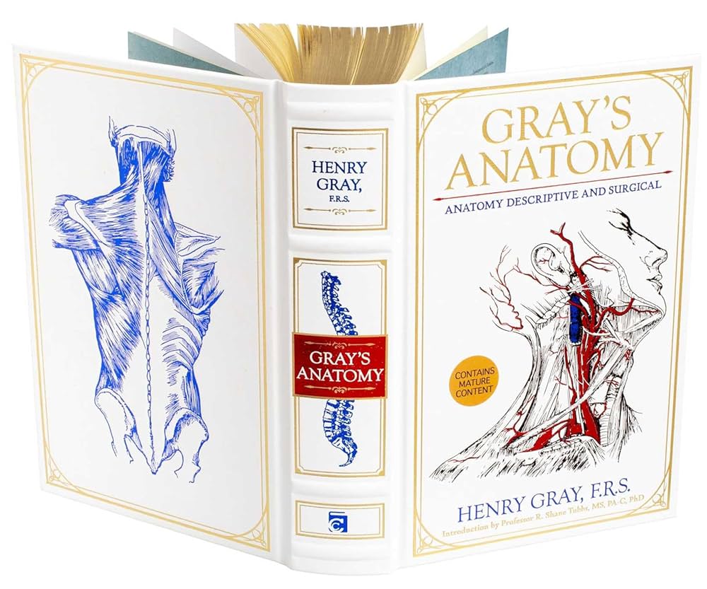 Gray's Anatomy 第39版 Gray's Anatomy 第39版 Amazon | Gray's