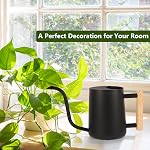 Watering Can Indoor Plants, 35oz Small Watering Can Stainless Steel Metal Modern Decorative Watering Pot with Long Spout for Indoor House Plant Bonsai Garden Flowers - Black