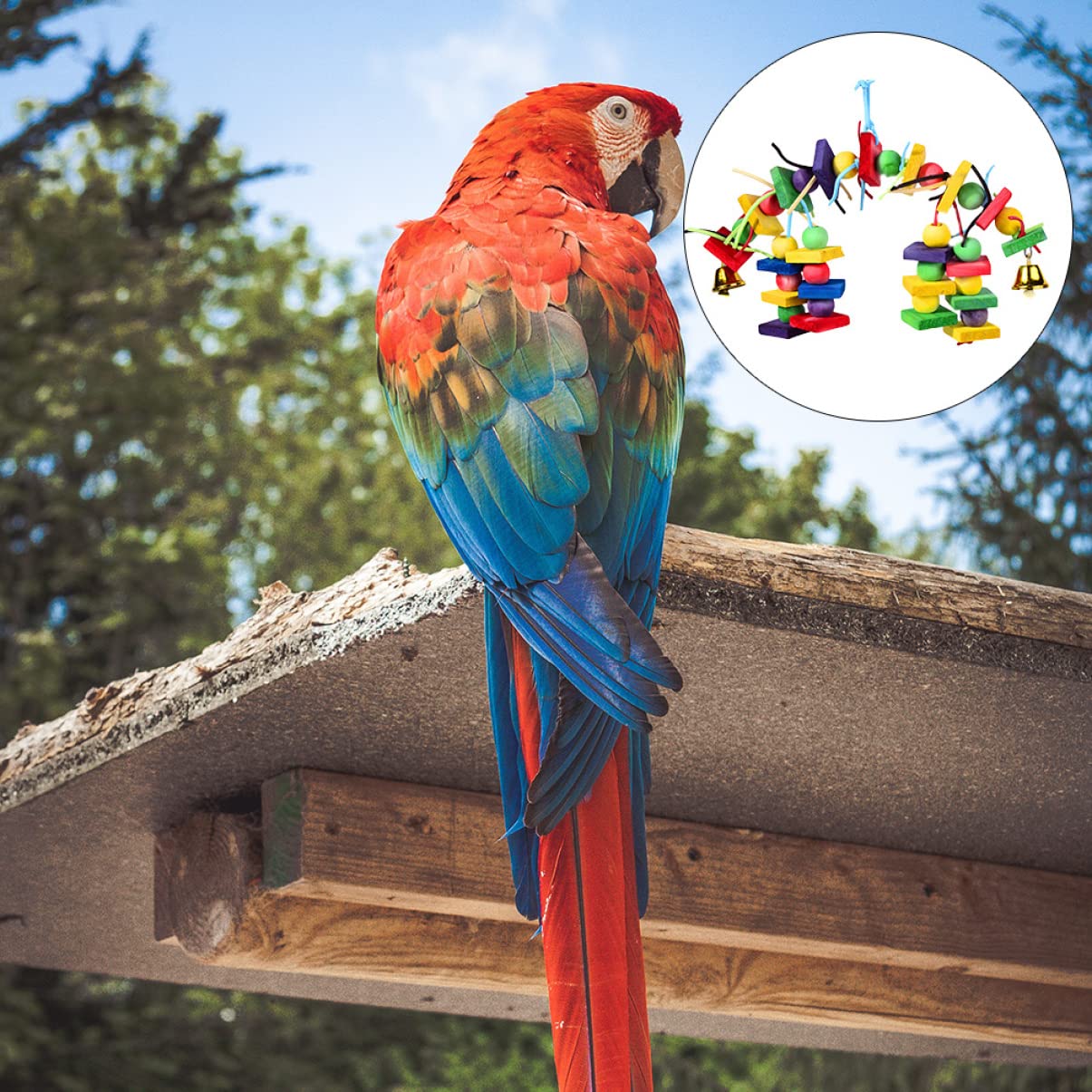 POPETPOP 3pièces Jouet à Mordre Bois pour Oiseaux Jouet Coloré pour Perroquets Et Oiseaux à Mâcher Accessoire De Jeu pour Animaux De Compagnie