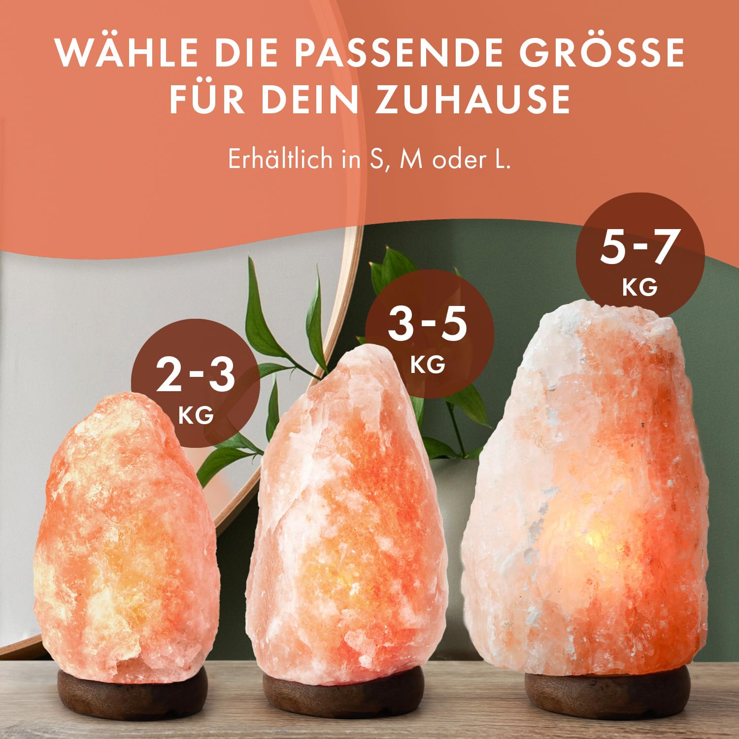 The Body Source Salzlampe (2-3 kg) mit Dimmerschalterlicht aus der Salt Range Pakistan auf einem Holzständer - Nachtlicht inkl. 1x 10W Glühbirnen und Geschenkbox