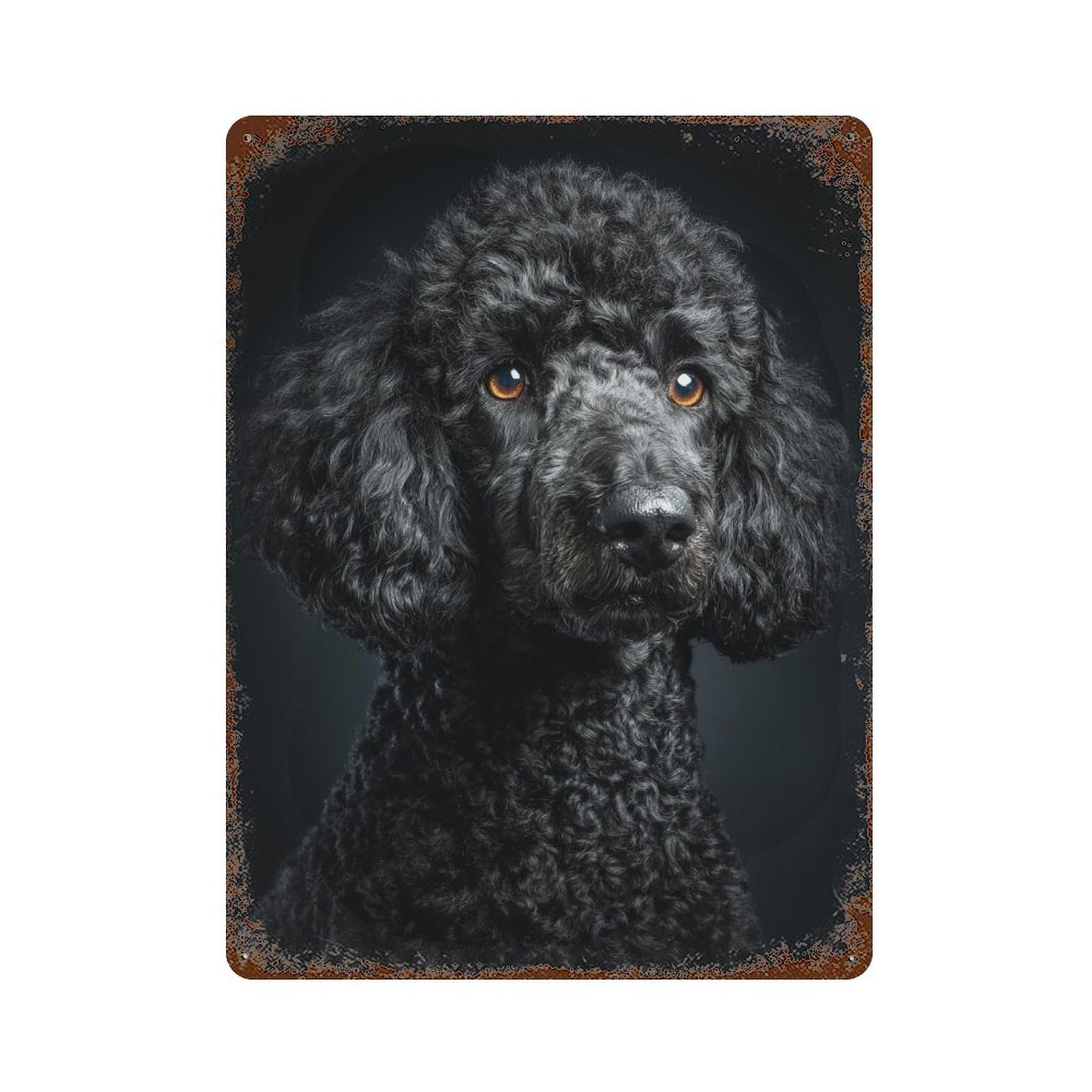Weathered Tin Sign Black Poodle Dog Portrait 15.7"x11.8", Novelty Wall Decor for Basement, Hobby Room And Garage Decor