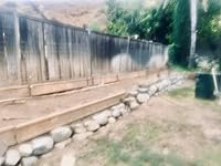 Review Image by Feli Feli