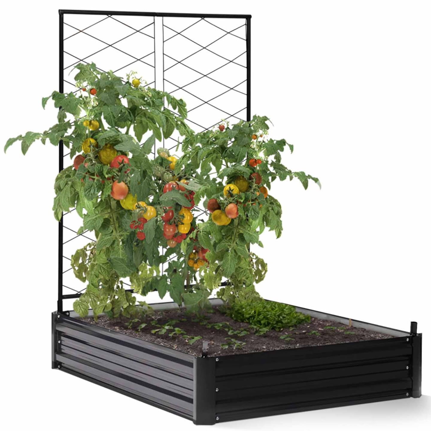 IDMarket - Kit Completo di 3 vasche modulari in Metallo per orto e Serra di pomodori + Traliccio + Copertura