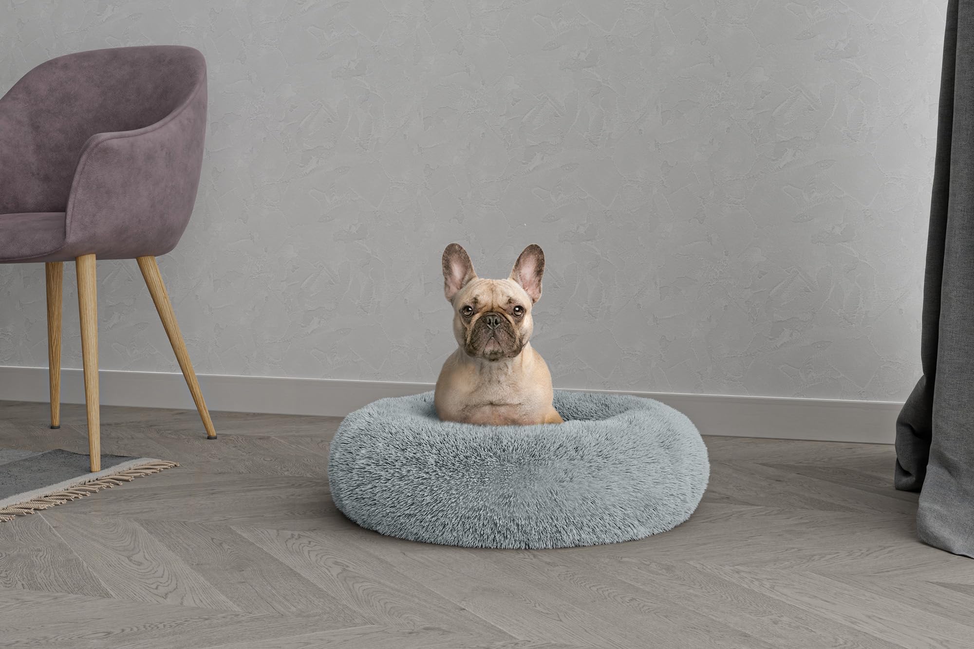 Dreams Pet Bed Dreams and Caprices Pets, Soft Polyester, Pearl, 60 x 60 cm