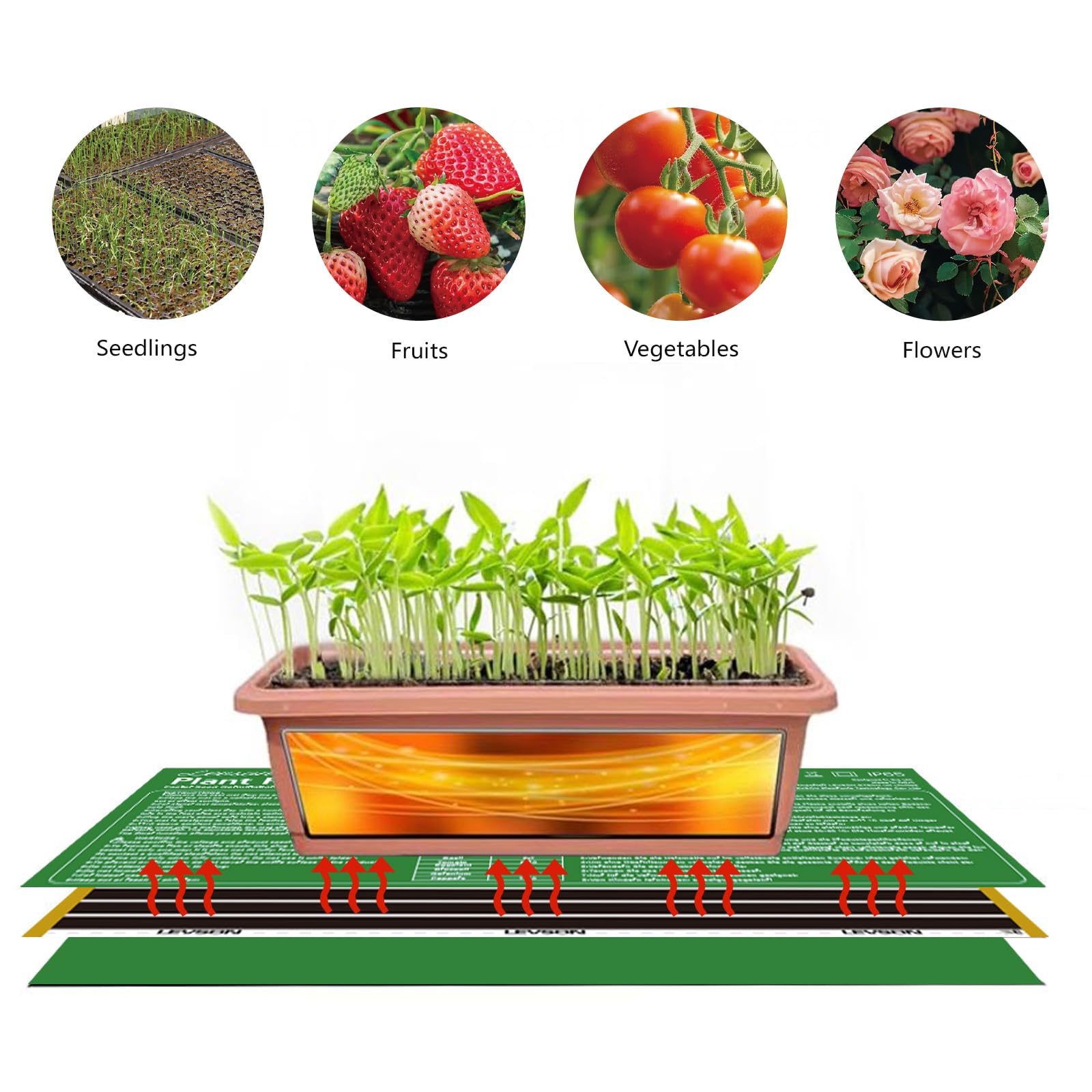 Tapis Chauffant pour Semis 30W, Étanche 26 × 54,5 cm, 15–60 °C avec Thermostat et Minuterie 0–12 h, Tapis Chauffant pour Plantes, Semis, Reptiles et Serre