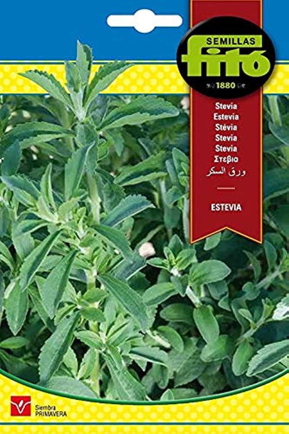 Fito Semillas Stevia Seeds