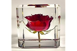 Rose in Resin: A Timeless Treasure