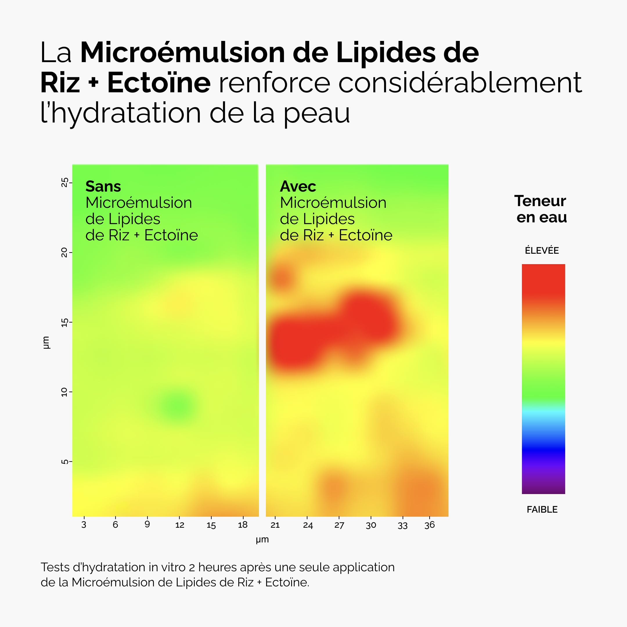 The Ordinary Rice Lipids + Ectoin Microemulsion: idratazione lenitiva per pelle secca, supporto della barriera cutanea, riduzione dei rossori, 60 ml