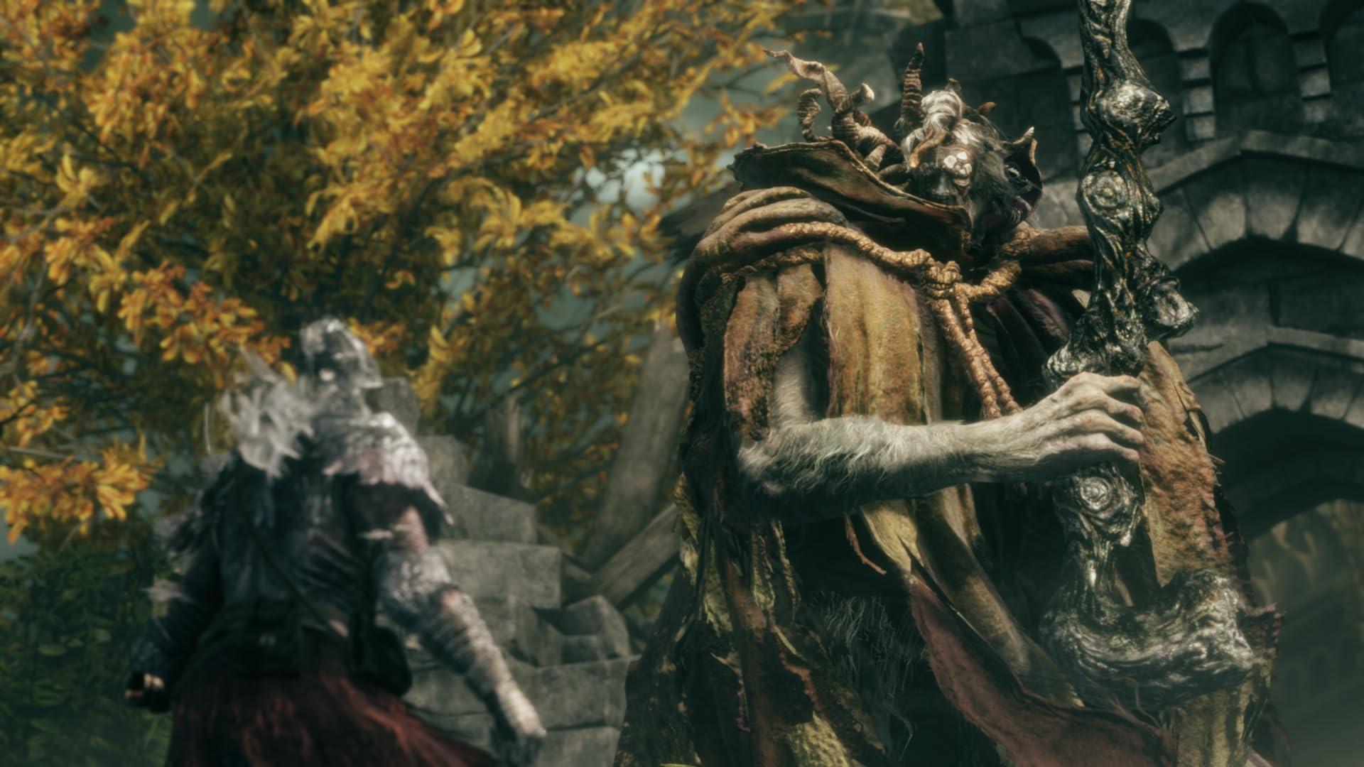ELDEN RING TARNISHED EDITION NSW2