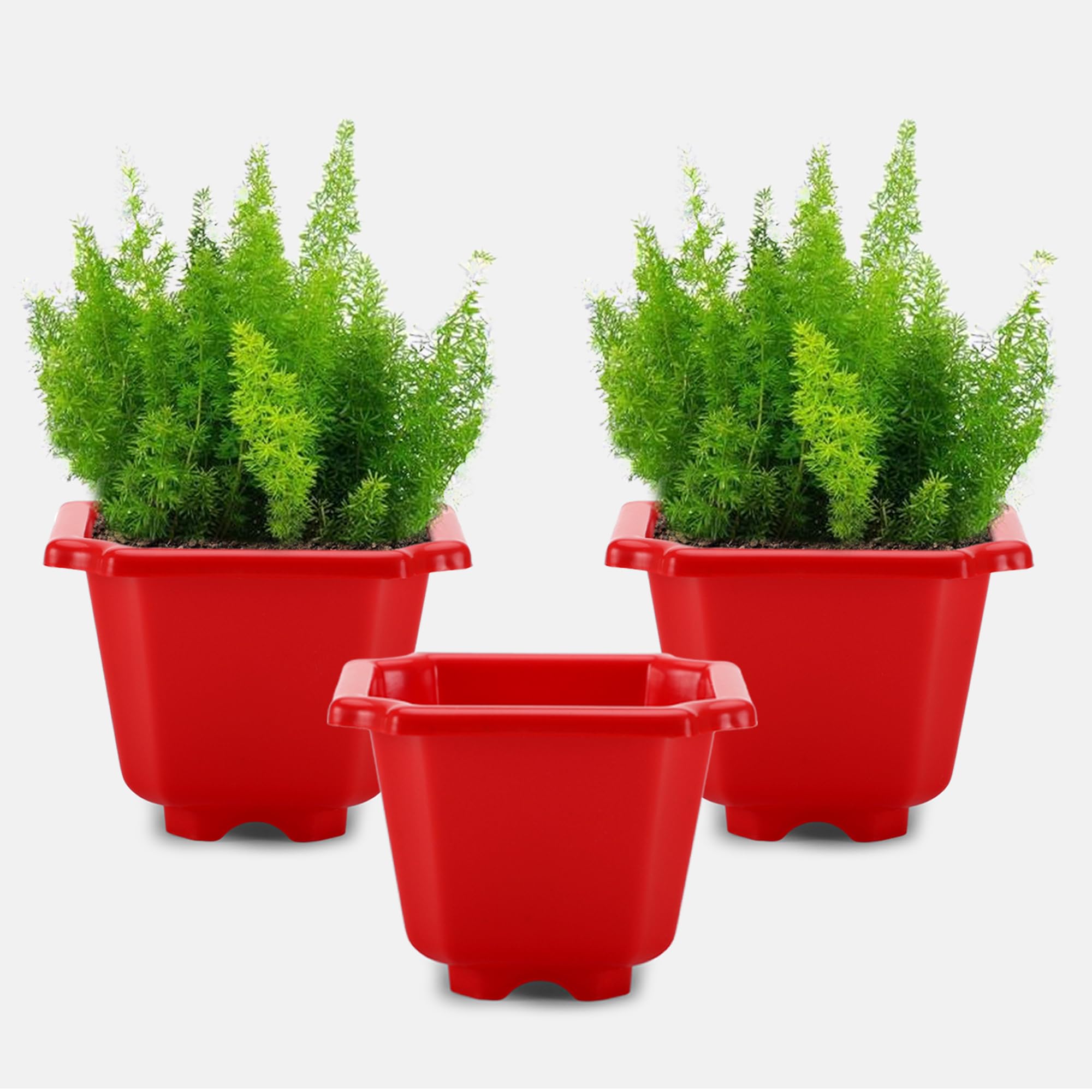 See full amazon price history chart for YUCCABE ITALIA SHERA Octa Square 4 Inch Planter 3 Pices Set of Plastic Flower Pot Suitable for Indoor and Outdoor Garden Premium Lightweight Pot for Plants (Red) YUCCABE ITALIA SHERA Octa Square 4 Inch Planter 3 Pices Set of Plastic Flower Pot Suitable for Indoor and Outdoor Garden Premium Lightweight Pot for Plants (Red) (B09X9WXWQ8) Amazon Price History, Amazon Price Tracker