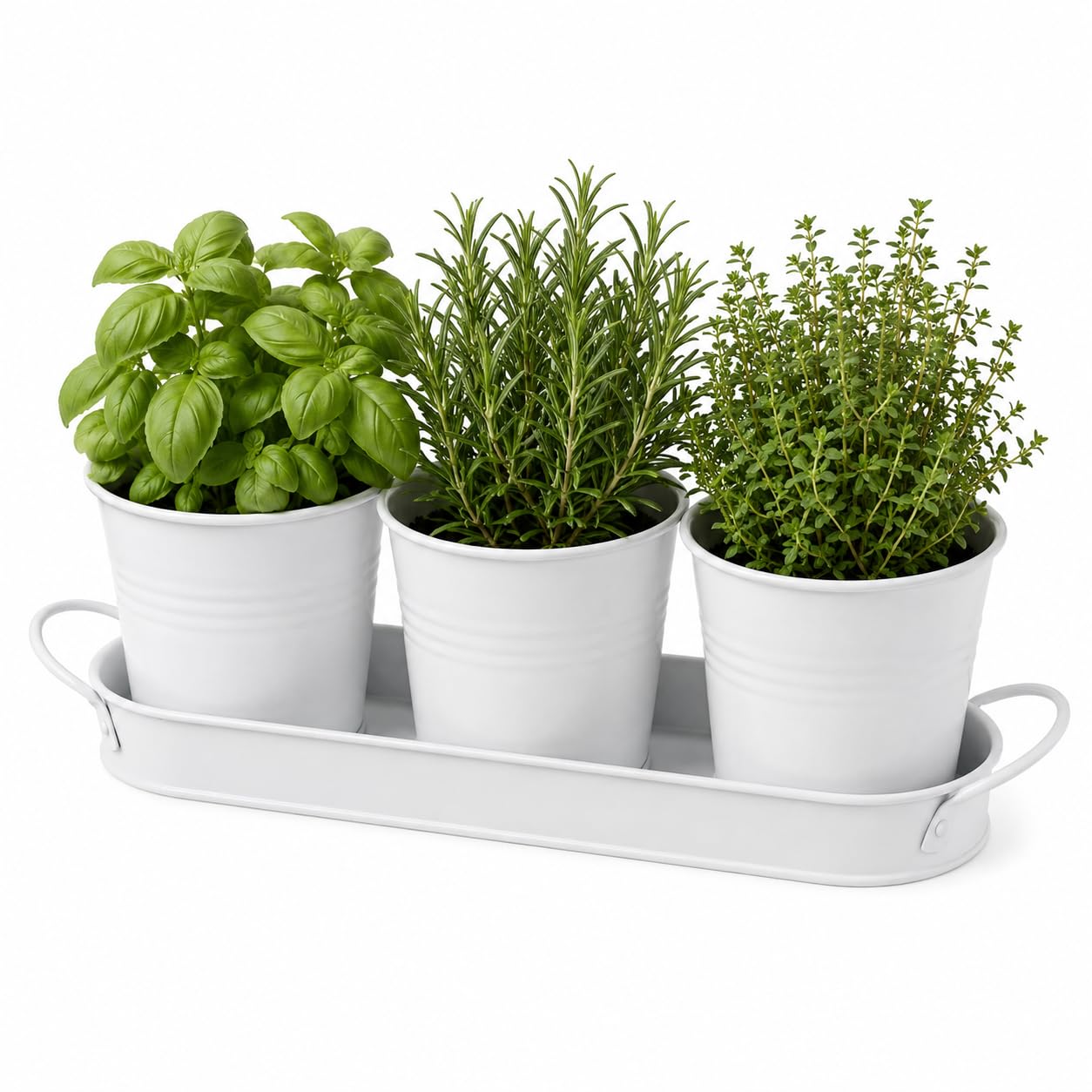 C Crystal Lemon White Indoor Herb Garden Planter Set 3 Pack, 4 Inch Pots With Tray