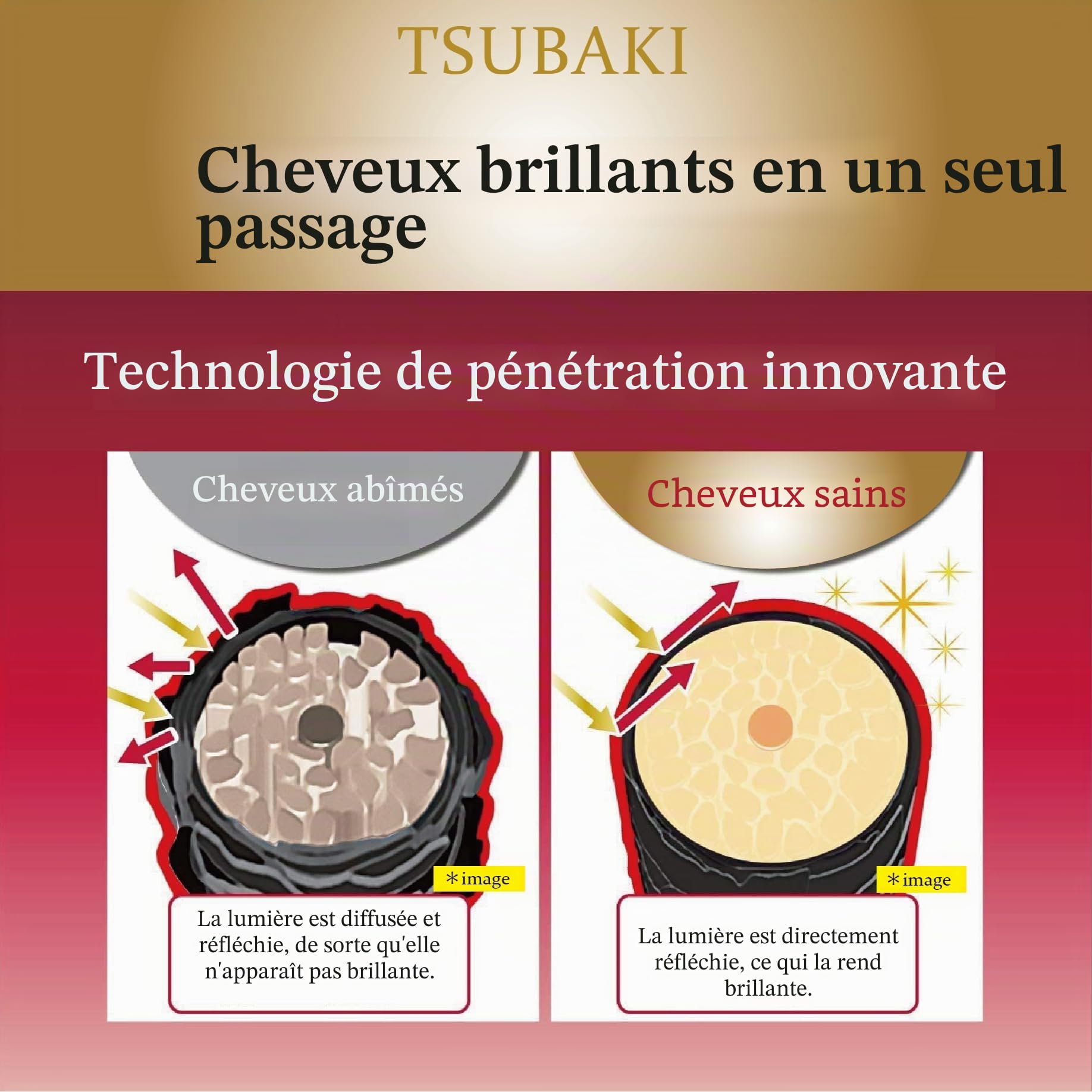 Premium Moist Repair Shampoo pour Tsubaki 450 ml & Refill Pack 300 ml Set