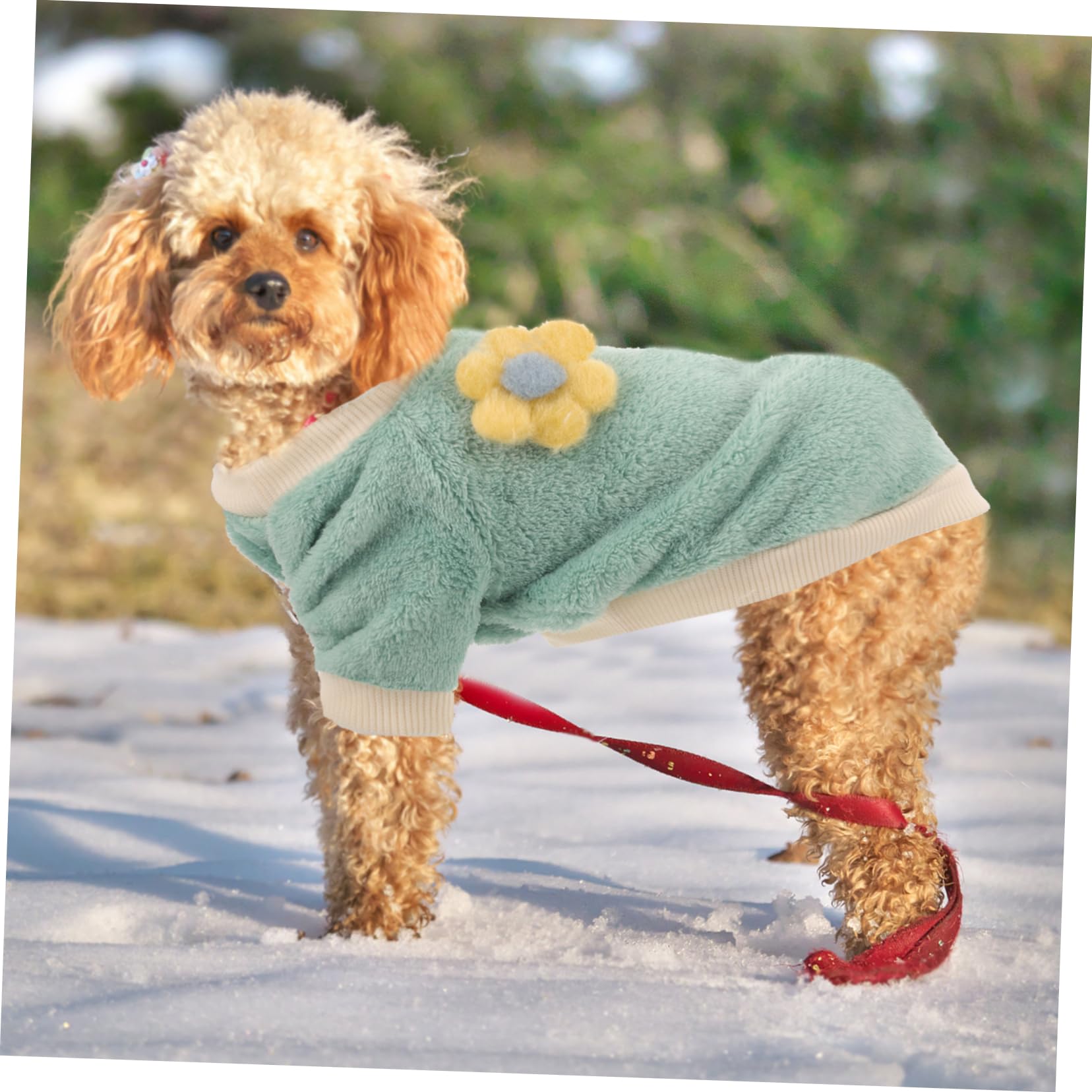 ifundom Manteau pour Chien Pull-Over Chaud Vêtement Amusant pour Animal de Compagnie Costume Facile à Enfiler