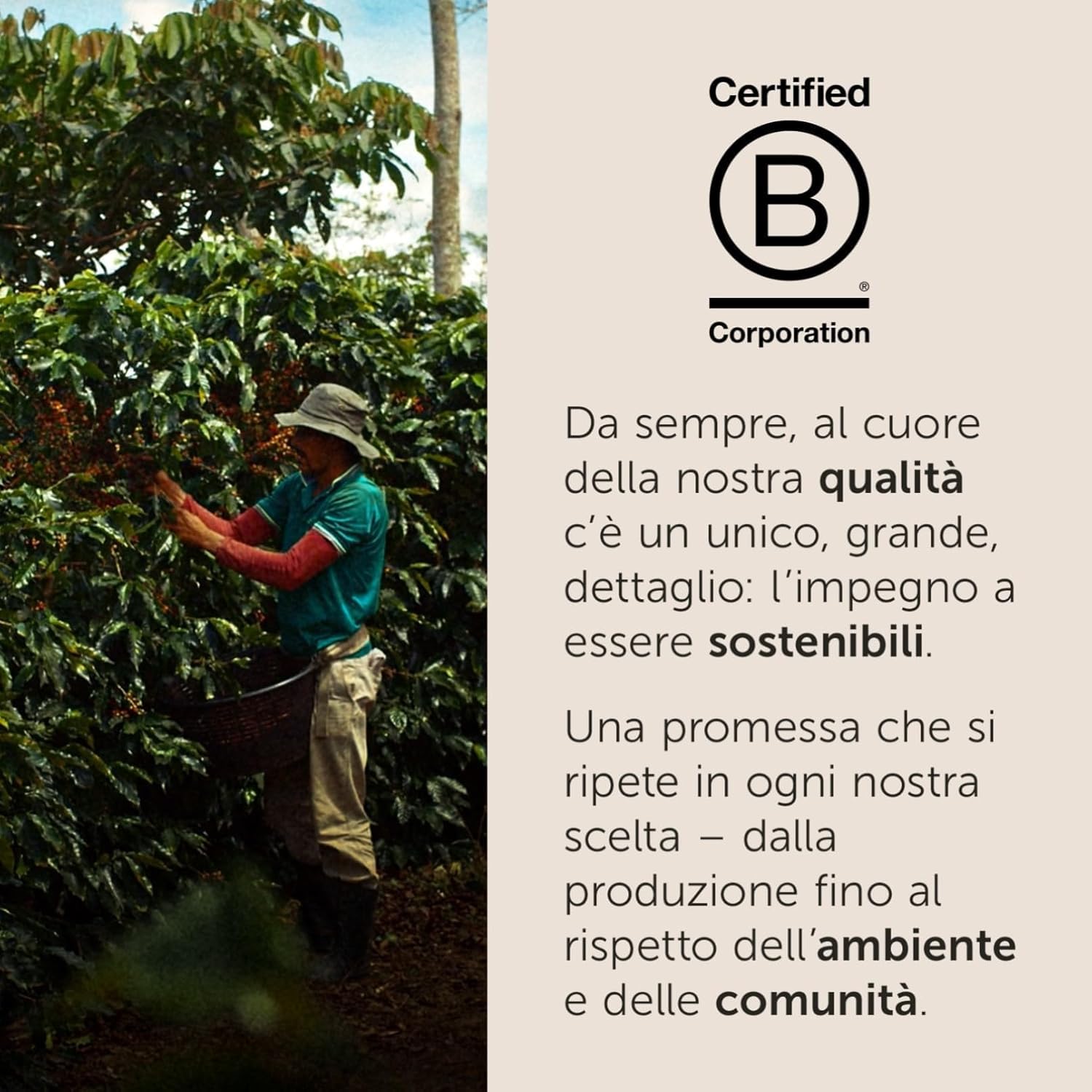 Caffè ILLY Iperespresso Miscela BRASILE,108 Capsule Originali, 100% Arabica con Note di Caramello e Frutta Secca -DD-