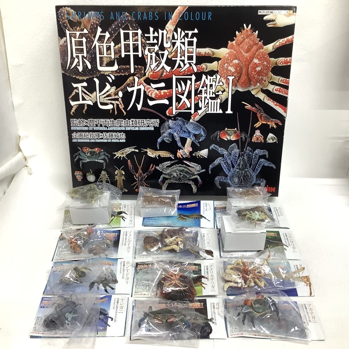 エビの仲間ザリガニ プロフィールチェック５本セット！ エビの仲間ザリガニ プロフィールチェック5本セット！ エビの