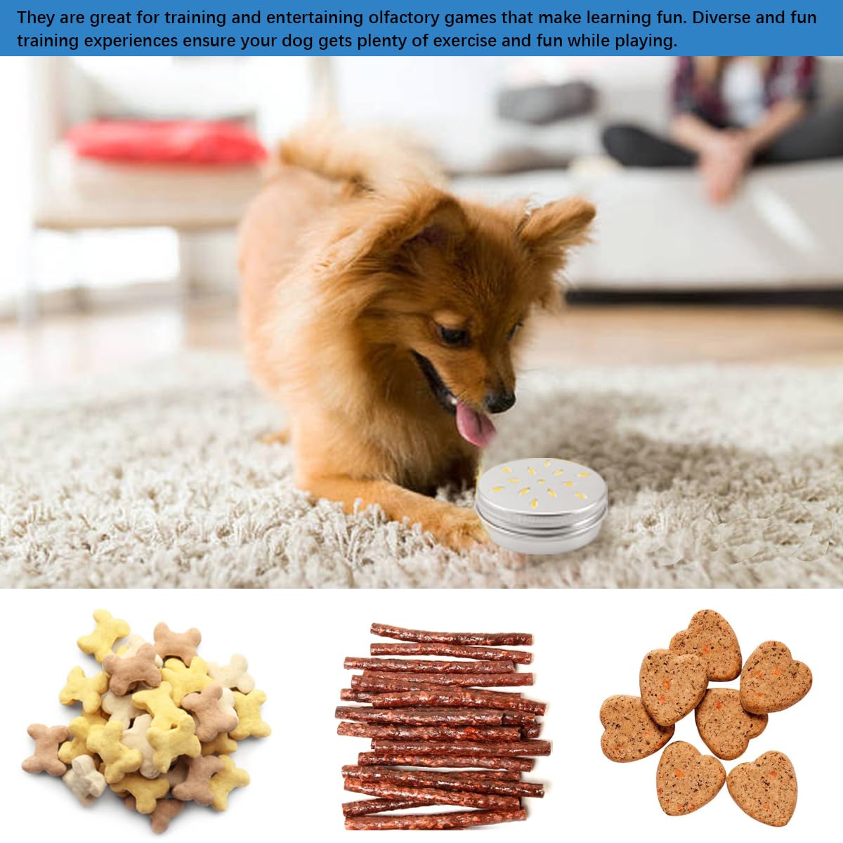 FERCAISH Pack of 10 Training Dog Fragrance Nose Odour Container Round Tin Metal Tin Container Holder Sniffing Dogs Accessories Tool Work for Absorbing Fragrance Powder - Image 4