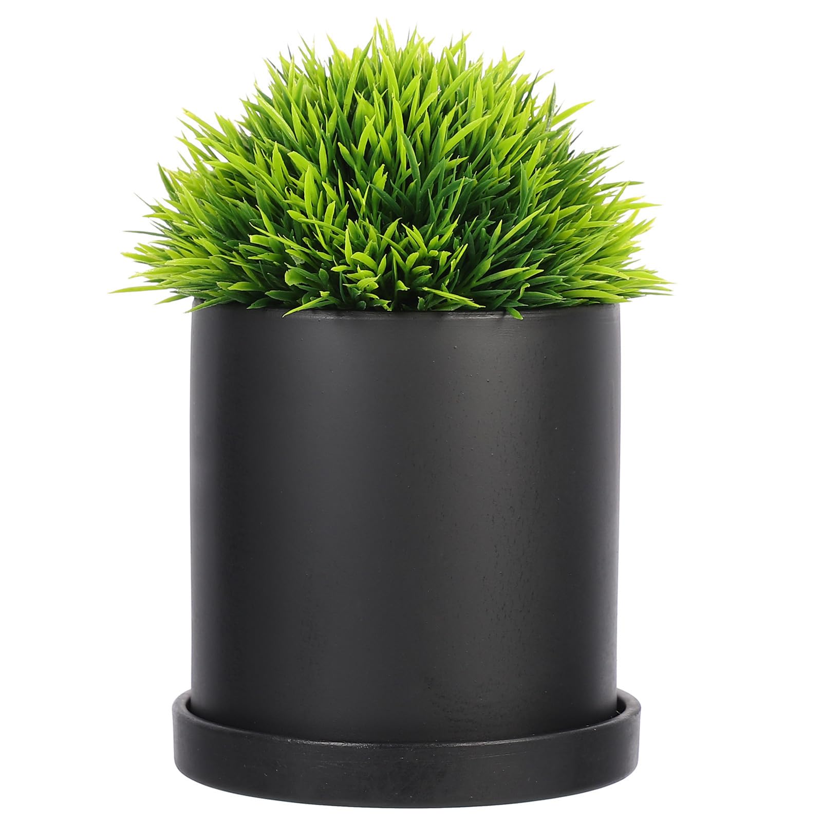 Plante succulente sans pourriture avec ce pot en céramique ibasenice