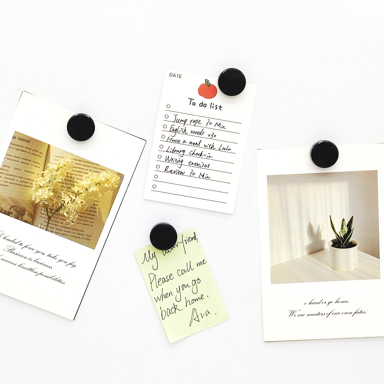 ABOOFAN Stks Pompoen Koelkast Magneten Halloween Koelkast Koelkast Decoratieve Sticker Glas Koelkast Magnetische Koelkast Whiteboard White Board Voor Koelkast Woondecoratie Glas ABOOFAN Stks Pompoen Koelkast Magneten Halloween Koelkast Koelkast Decoratieve Sticker Glas Koelkast Magnetische Koelkast Whiteboard White Board Voor Koelkast Woondecoratie Glas