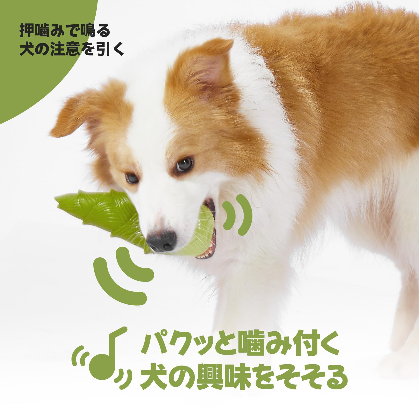 Amazon | PureNya 犬 おもちゃ 竹の子型 【天然ラテックス製・音が鳴る