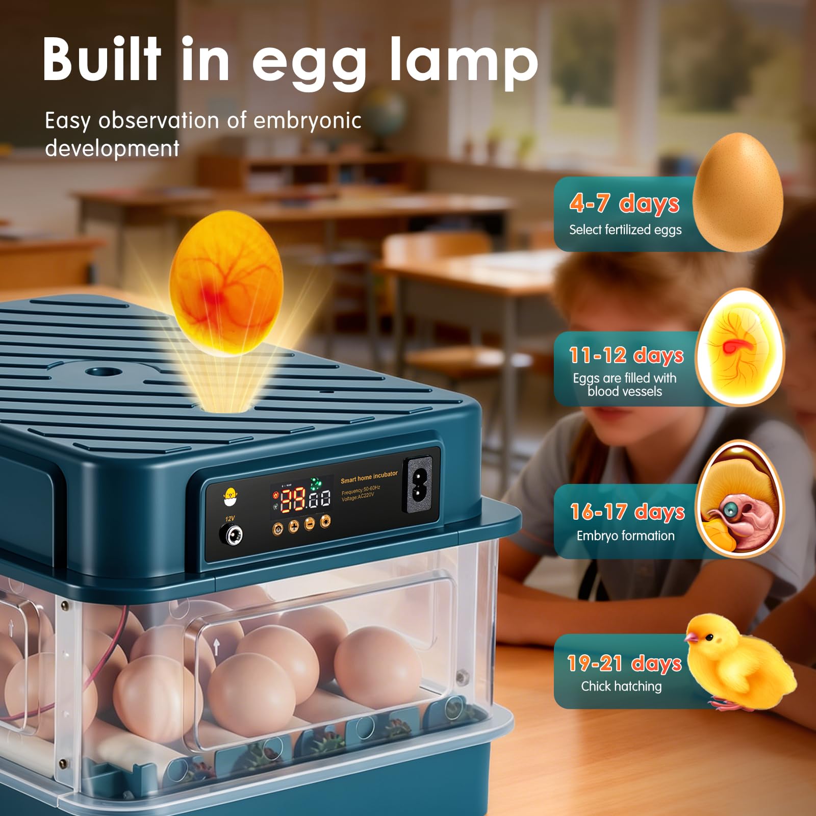 Incubadoras para incubar huevos, incubadora de 24 huevos con volteo automático y control de temperatura, llenado automático de agua, diseño de ventilación para gallinas, codornices y huevos de aves
