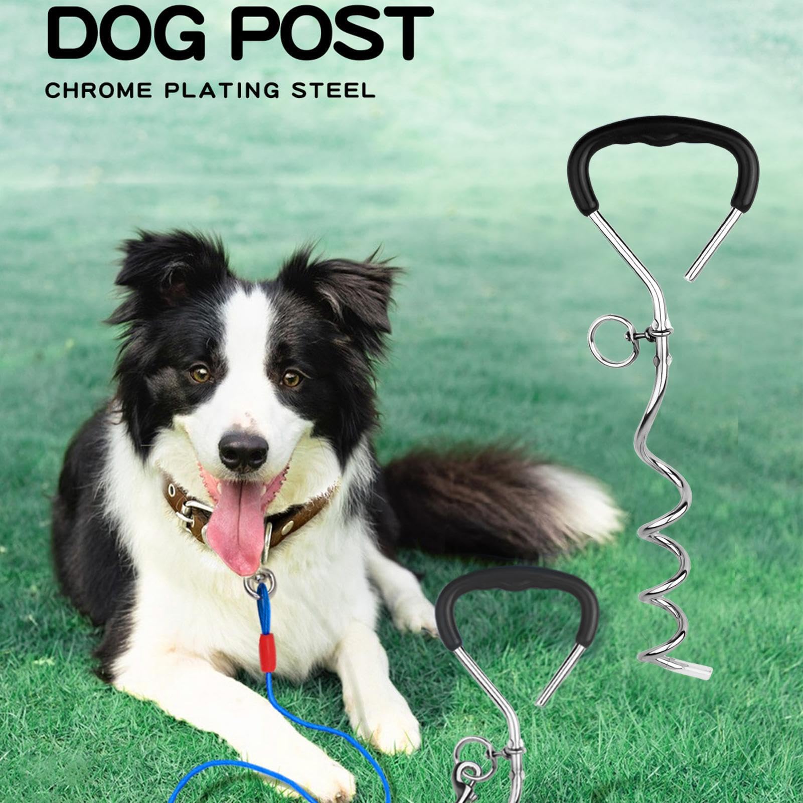 Picchetti per cani per terra, picchetti per legare cani, picchetti per legare i cani, resistenti e a prova di torsione, da attaccare al cavo e per campeggio, sfondo, cortile, spiaggia