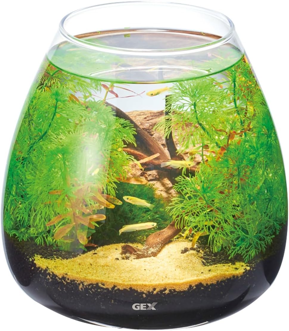 ジェックス GEX AQUARIUM グ