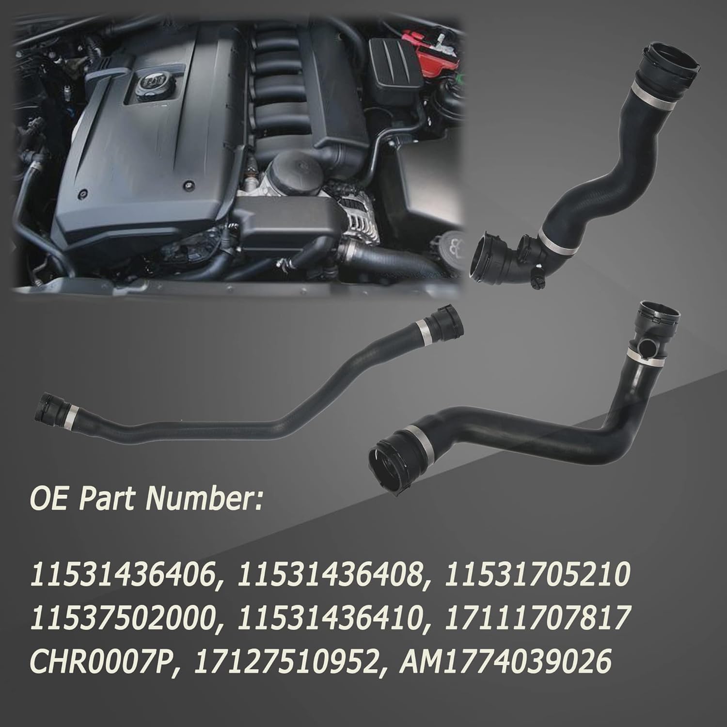 Expansion Tank Coolant Radiator Hose Set, Upper Lower Radiator Hose & Water Hose Kit, Fits for BMW E46 325Ci 325i 325xi  3