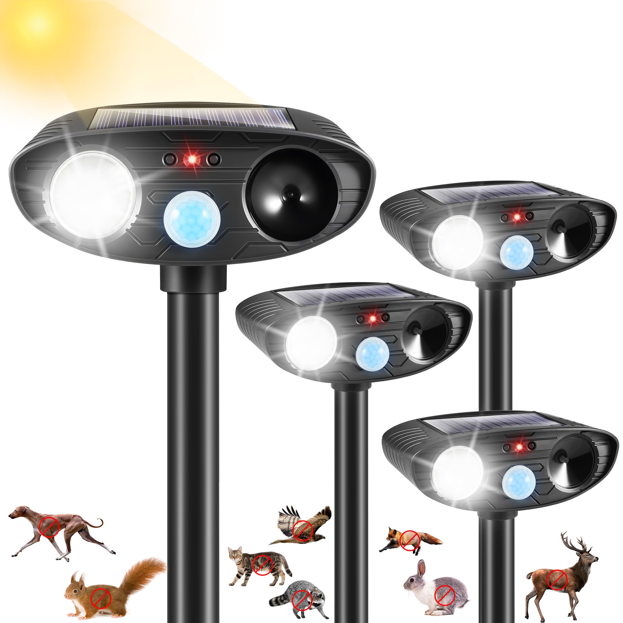 Electronic Raccoon Repellent