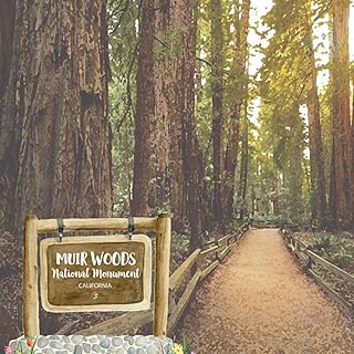 Scrapbook Customs 39656 California - Muir Woods National Monument Watercolor 12 x 12 Double-Sided Scrapbook Paper - 1 Sheet