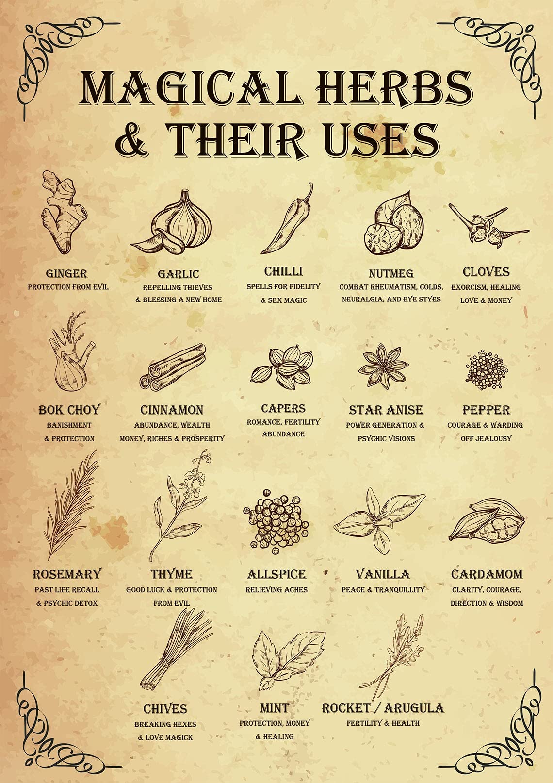 Kisoyo Tin-03 Magical Herbs And Their Uses Witchy Poster Witchcraft Kitchen Witch Magic Tin Sign Retro Metal Tin Sign Cafe Family Farm Bathroom Garden Wall Decoration Art 8X12inch