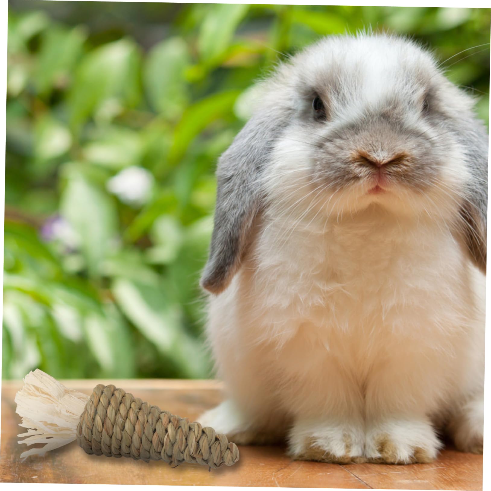POPETPOP 3sätze Pet Kauspielzeug Karottenform Für Zahnreinigung Und Beschäftigung Geeignet Für Hamster Meerschweinchen Und Chinchillas Hellgrün Beige Teilig