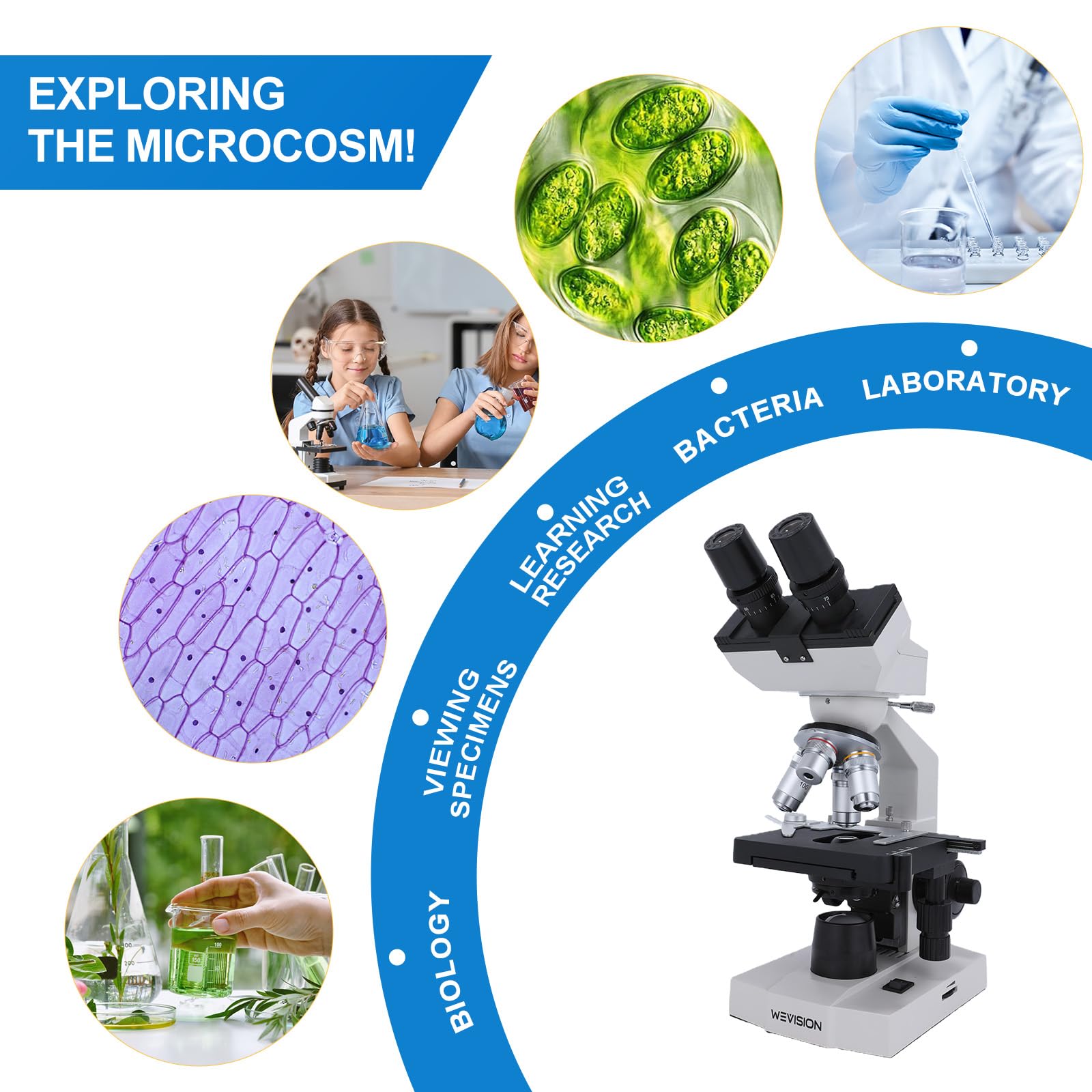 Microscopio binoculare professionale composto da laboratorio 40X-2500X per ricerca clinica, 4 obiettivi acromatici, stadio meccanico a doppio strato, messa a fuoco coassiale, LED ad alta precisione