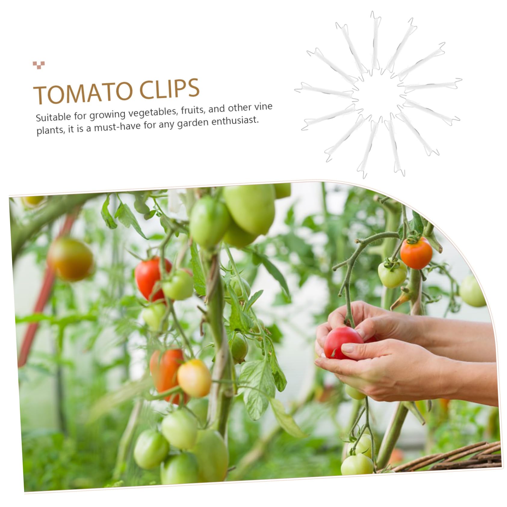 Didiseaon 5 Set di Ganci per Rampicanti per Piante Viti di Pomodoro Clip per Reti da Giardino Clip per Reti da Verdura Clip per Verdura per Giardino in Plastica