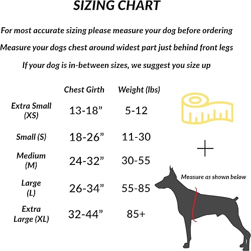 Miniatura 3 de ShawnCo Arnés esencial para perro, chaleco sin tirones para mascotas con 3 clips de correa, sin estrangulamiento, reflectante, ajustable y