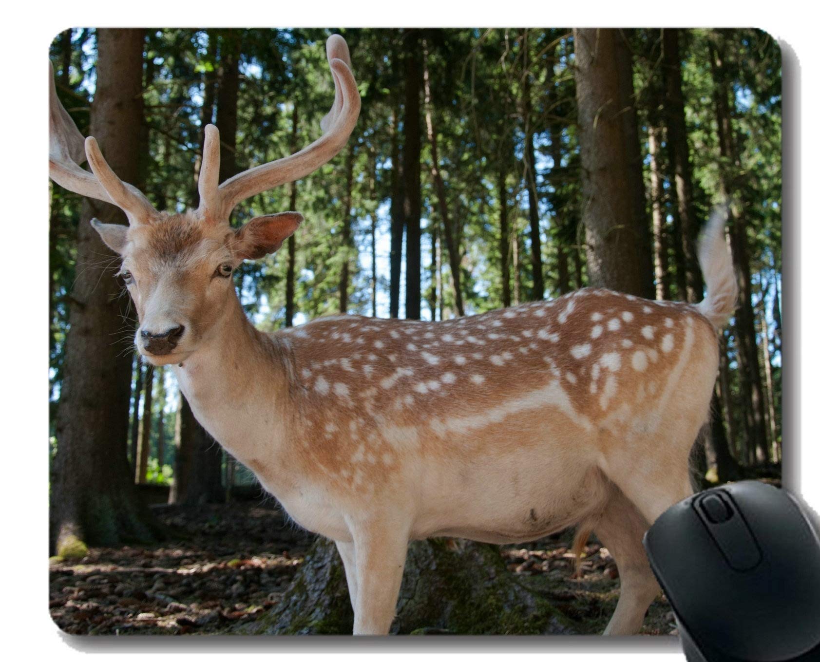 Mouse Pad,Wild sika Deer -Stitched Edges