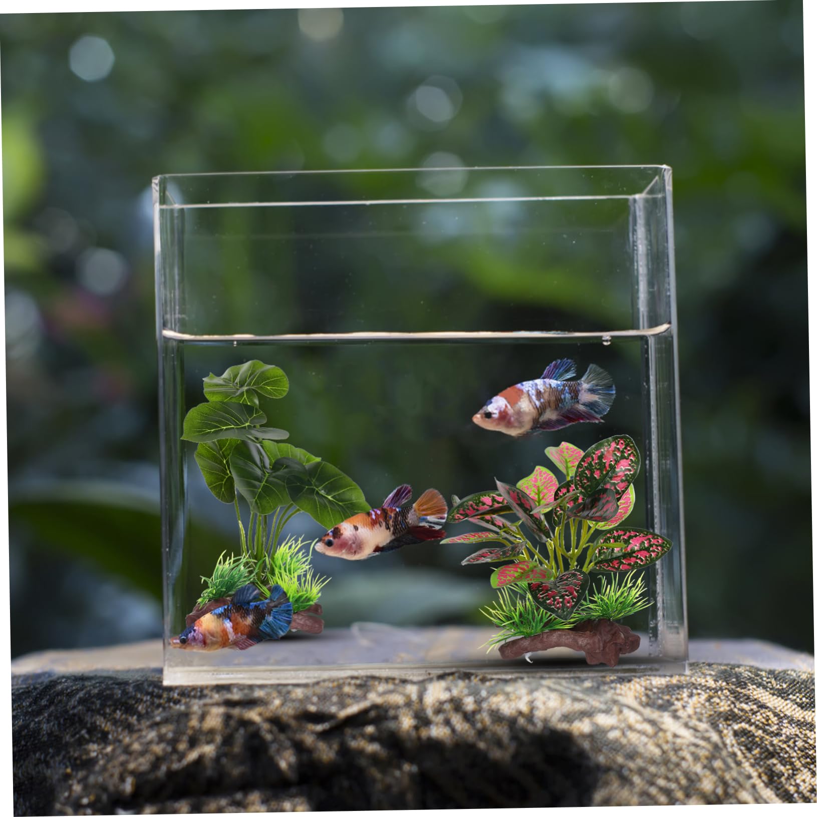 Yardwe 8stücke Künstliche Pflanzen Für Aquarien Aus Hochwertigen Täuschend Echten Wasserpflanzen Zur Dekoration Von Fischbecken Langlebig Und Fischfreundlich