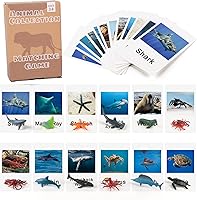 Vista 13 de MEROCO Tarjetas de emparejamiento de animales Montessori en miniatura con aves de corral y tarjetas a juego - Juguetes educativos Montessori