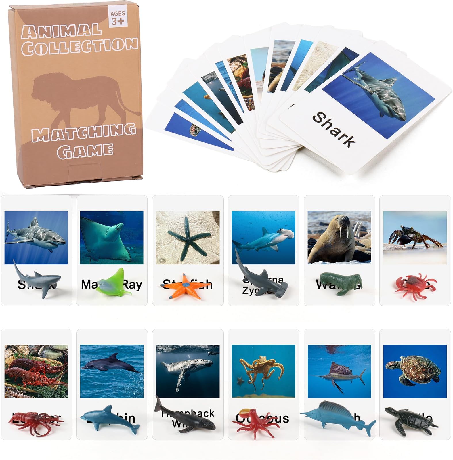 MEROCO Montessori Animal Match Game Cards Marine Animal Matching Montessori Language Materials Toddlers Preschool Educational Learning Toys NEWT011