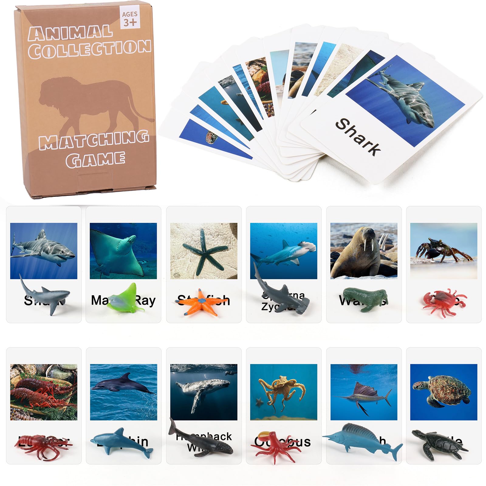 MEROCO Montessori Animal Match Game Cards Marine Animal Matching Montessori Language Materials Toddlers Preschool Educational Learning Toys NEWT011