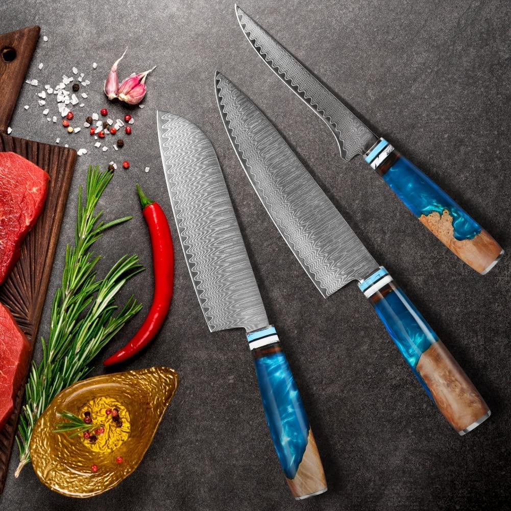 Set Couteau Cuisine, 3 Pièces Couteaux de Cuisine Professionnelle - Couteaux de Chef 20CM, Couteau Santoku 17,5CM, Couteau à Désosser 15CM - Résine Bleue Handle avec Boîte Cadeau